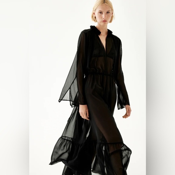 H&M Edition Sheer Maxi Dress - Picture 1 of 8